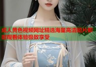 成人黄色视频网址精选海量高清短片即时观看体验极致享受