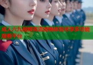 成人六九视频高清流畅体验尽享多功能观看平台