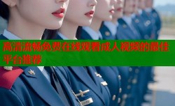 高清流畅免费在线观看成人视频的最佳平台推荐