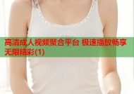 高清成人视频聚合平台 极速播放畅享无限精彩(1)