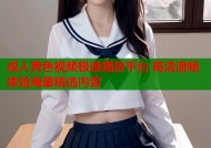 成人黄色视频极速播放平台 高清流畅体验海量精选内容