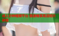成人分钟视频平台 极速畅享高清短片体验
