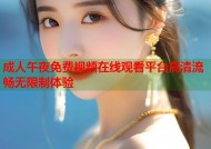 成人午夜免费视频在线观看平台高清流畅无限制体验