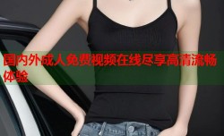 国内外成人免费视频在线尽享高清流畅体验