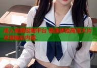 成人视频定制平台 极速体验高清大片尽享精彩内容